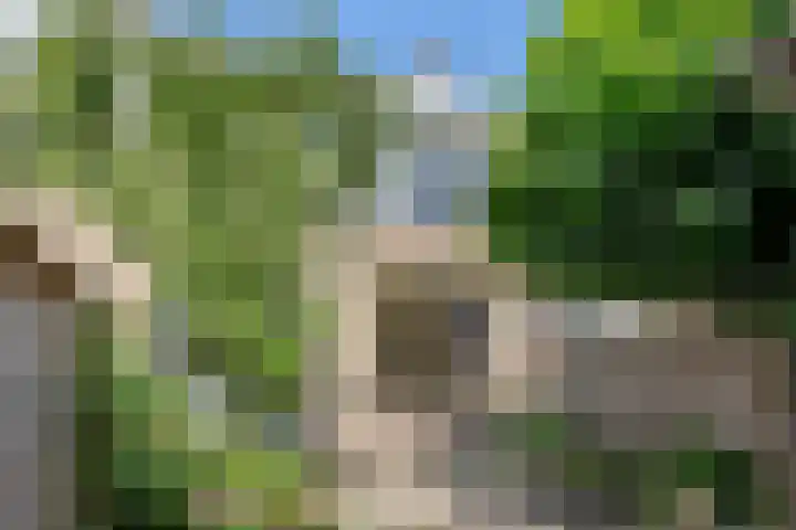 Lindenlaan 82 Castricum thumbnail 31