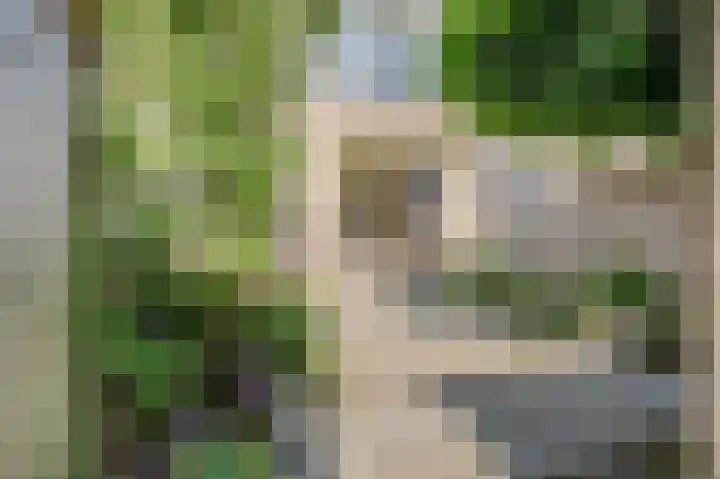 Lindenlaan 82 Castricum thumbnail 32