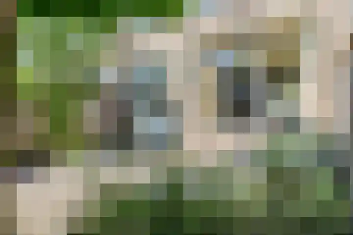 Lindenlaan 82 Castricum thumbnail 33