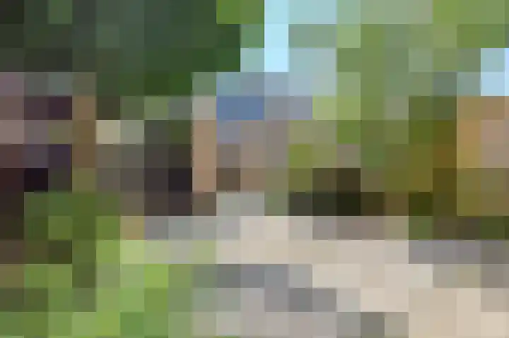 Lindenlaan 82 Castricum thumbnail 34