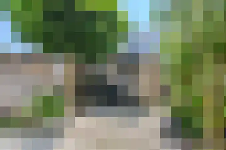 Lindenlaan 82 Castricum thumbnail 35