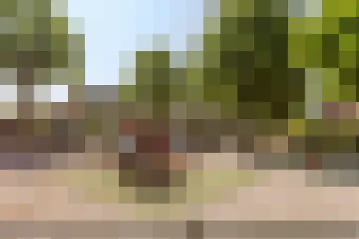 Lindenlaan 82 Castricum thumbnail 36