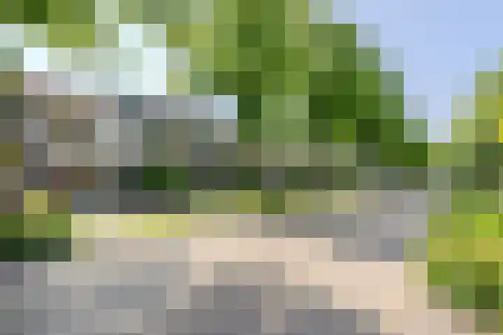 Lindenlaan 82 Castricum thumbnail 4