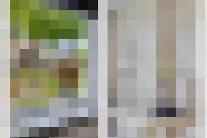 Lindenlaan 83 Huizen thumbnail 10