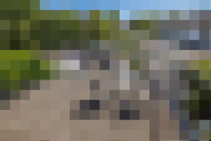Lindenlaan 83 Huizen thumbnail 28