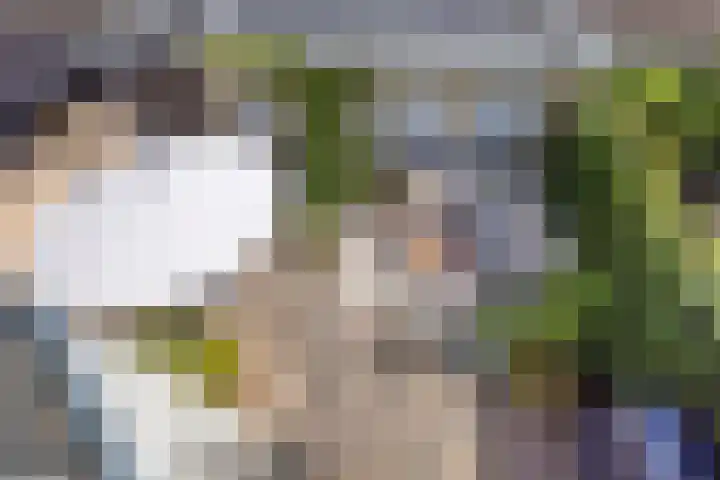 Lindenlaan 83 Huizen thumbnail 30