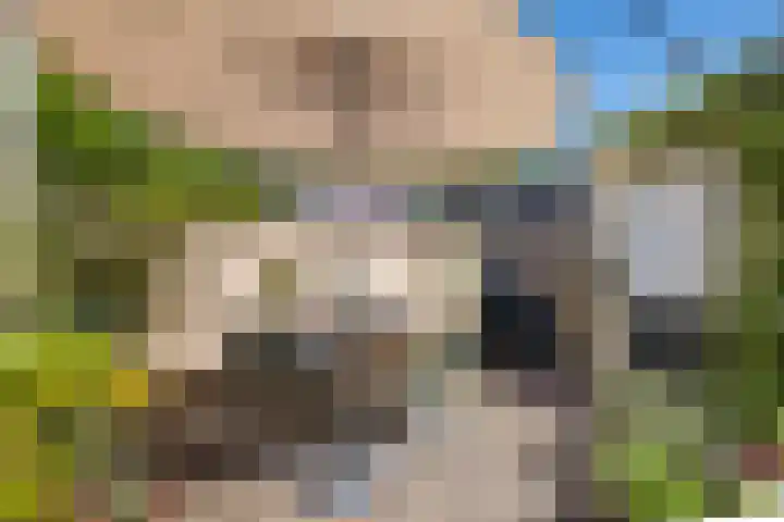 Lindenlaan 83 Huizen thumbnail 32