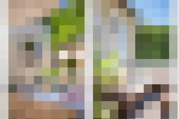 Lindenlaan 83 Huizen thumbnail 33