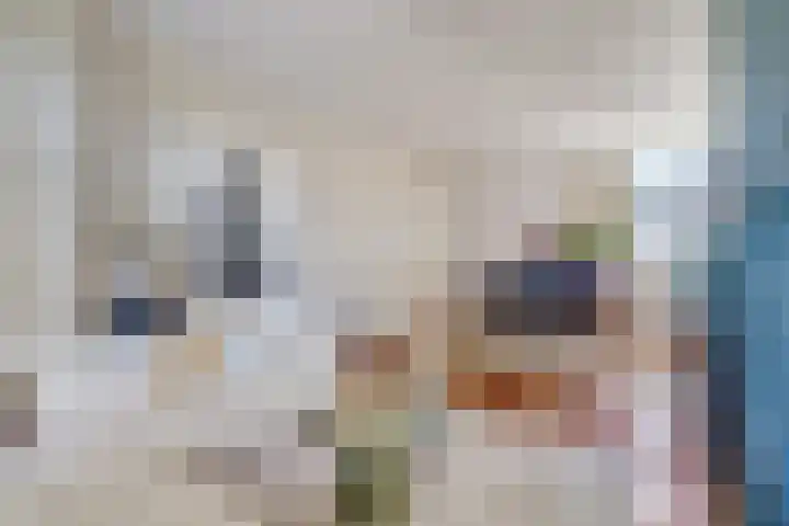 Lindenlaan 83 Huizen thumbnail 9