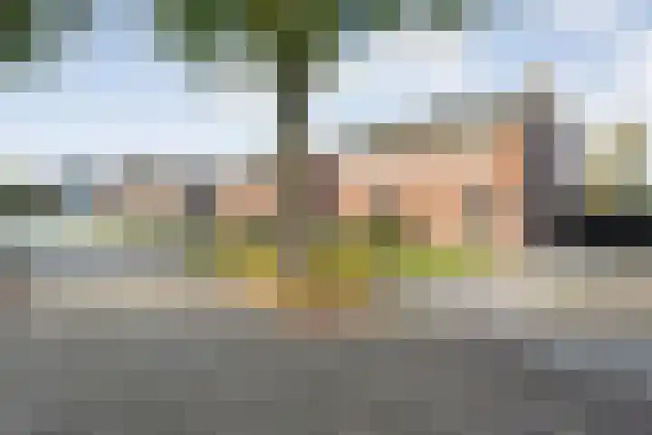 Lindenlaan 85 Uffelte thumbnail 26