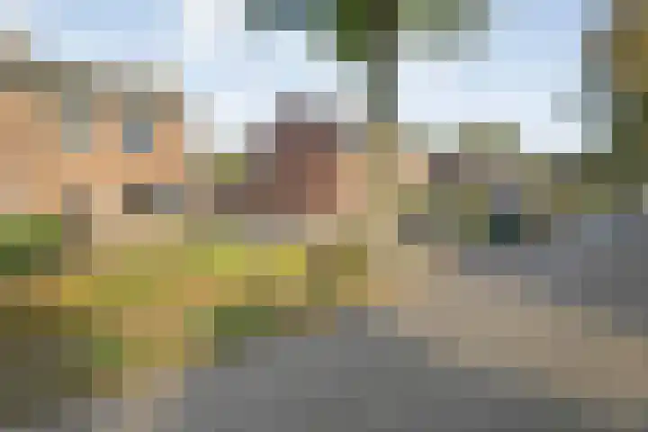 Lindenlaan 85 Uffelte thumbnail 28