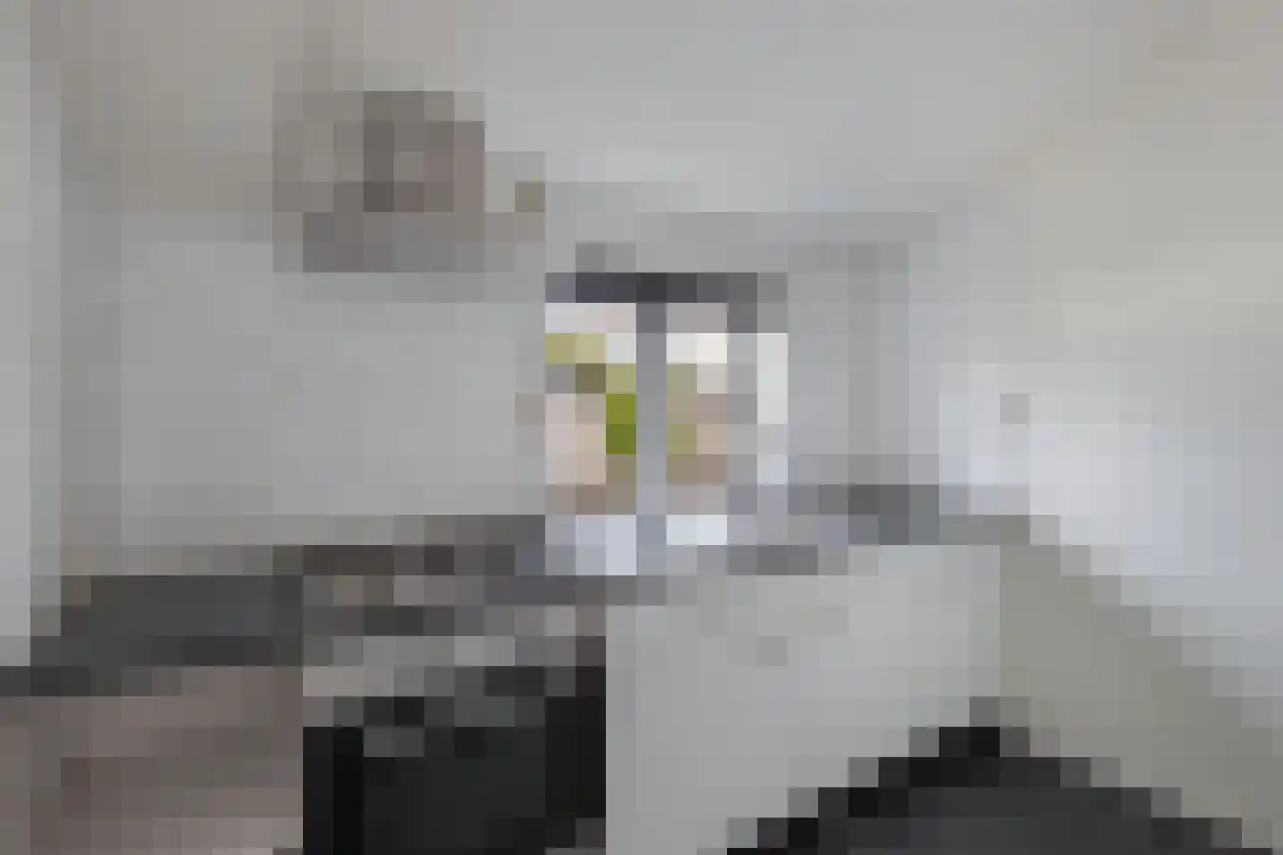 Lindenlaan 89 Huizen thumbnail 31