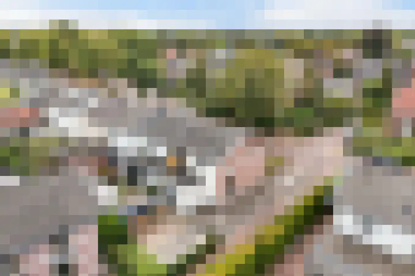 Lindenlaan 89 Huizen thumbnail 43
