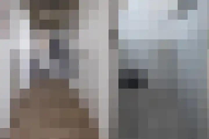 Lindenlaan 89 Nieuwe Pekela thumbnail 13