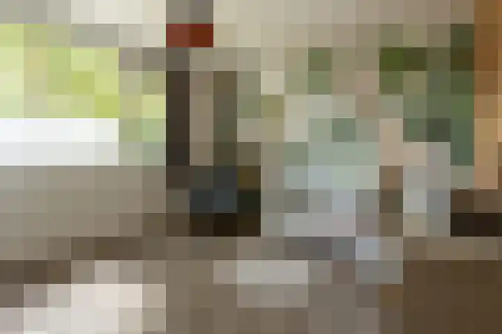Lindenlaan 89 Nieuwe Pekela thumbnail 19
