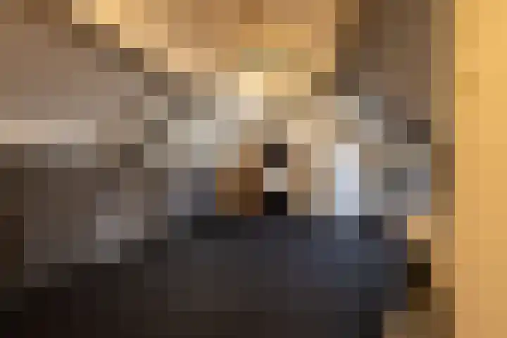Lindenlaan 89 Nieuwe Pekela thumbnail 20
