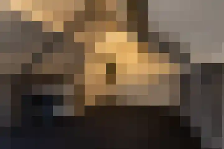 Lindenlaan 89 Nieuwe Pekela thumbnail 21