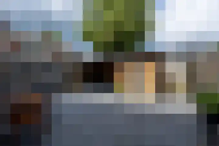 Lindenlaan 89 Nieuwe Pekela thumbnail 22