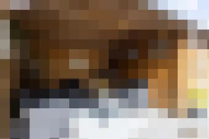 Lindenlaan 89 Nieuwe Pekela thumbnail 23
