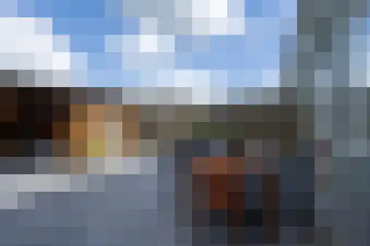 Lindenlaan 89 Nieuwe Pekela thumbnail 25