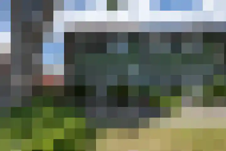 Lindenlaan 89 Nieuwe Pekela thumbnail 26