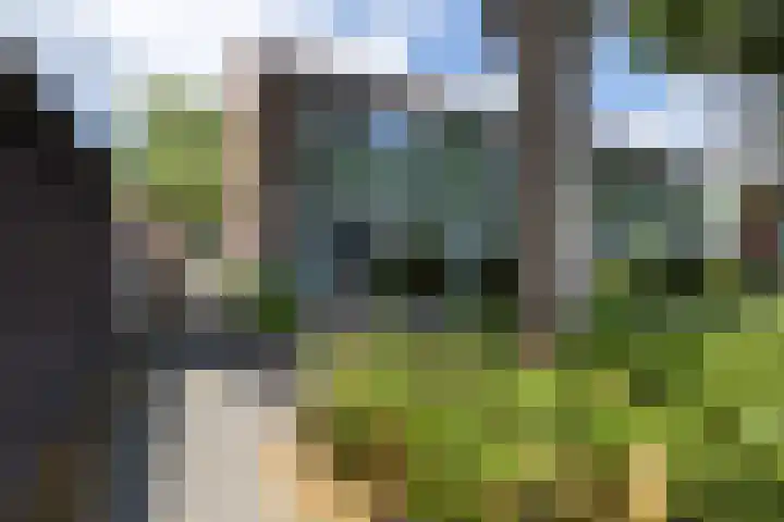 Lindenlaan 89 Nieuwe Pekela thumbnail 27