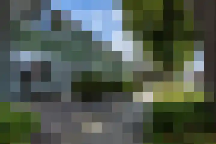 Lindenlaan 89 Nieuwe Pekela thumbnail 28