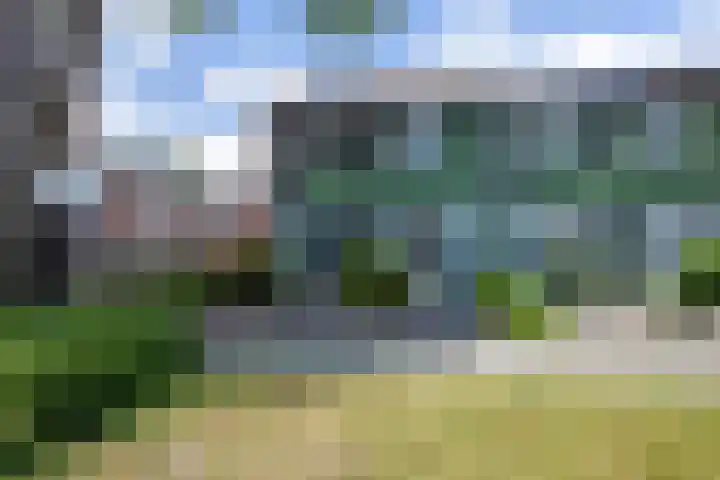 Lindenlaan 89 Nieuwe Pekela thumbnail 29