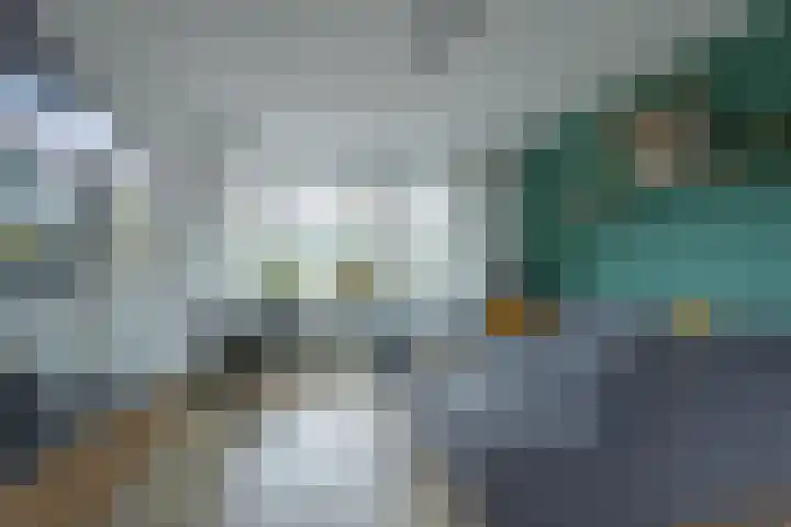 Lindenlaan 89 Nieuwe Pekela thumbnail 8