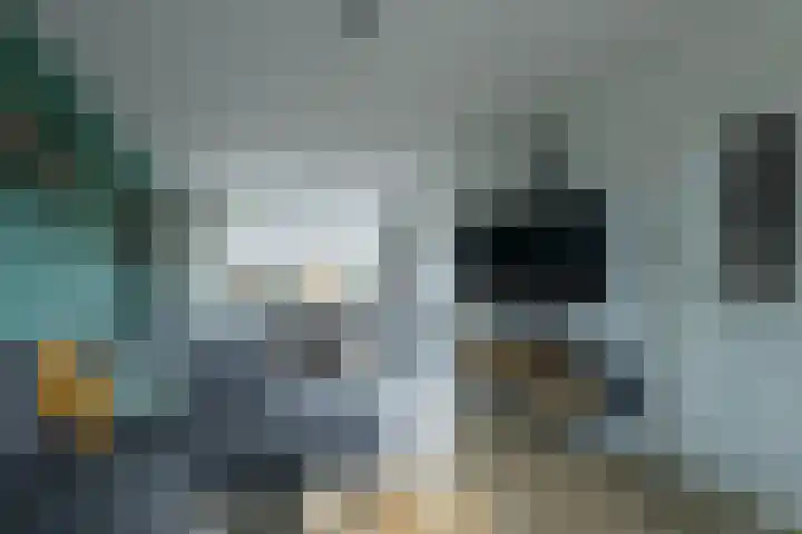 Lindenlaan 89 Nieuwe Pekela thumbnail 9