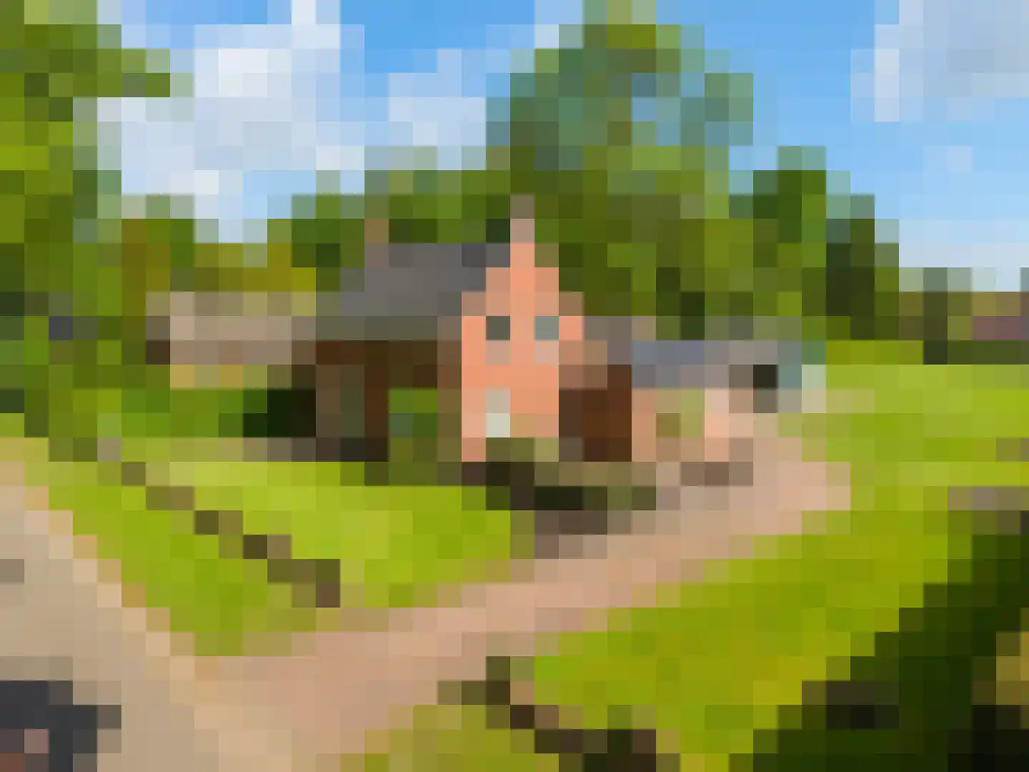 Lindenlaan 9 in Bellingwolde