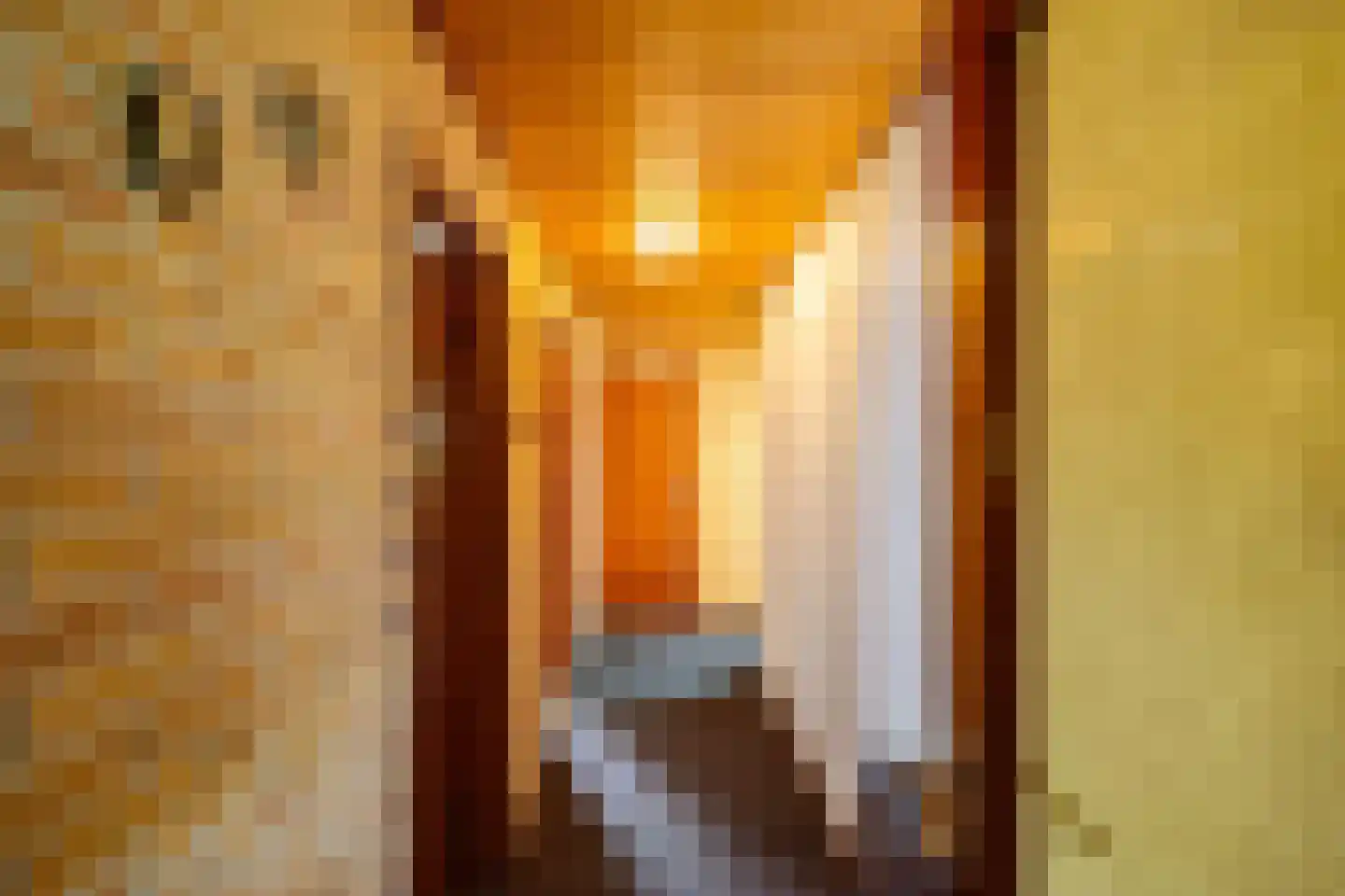 Lindenlaan 9 Bellingwolde thumbnail 10