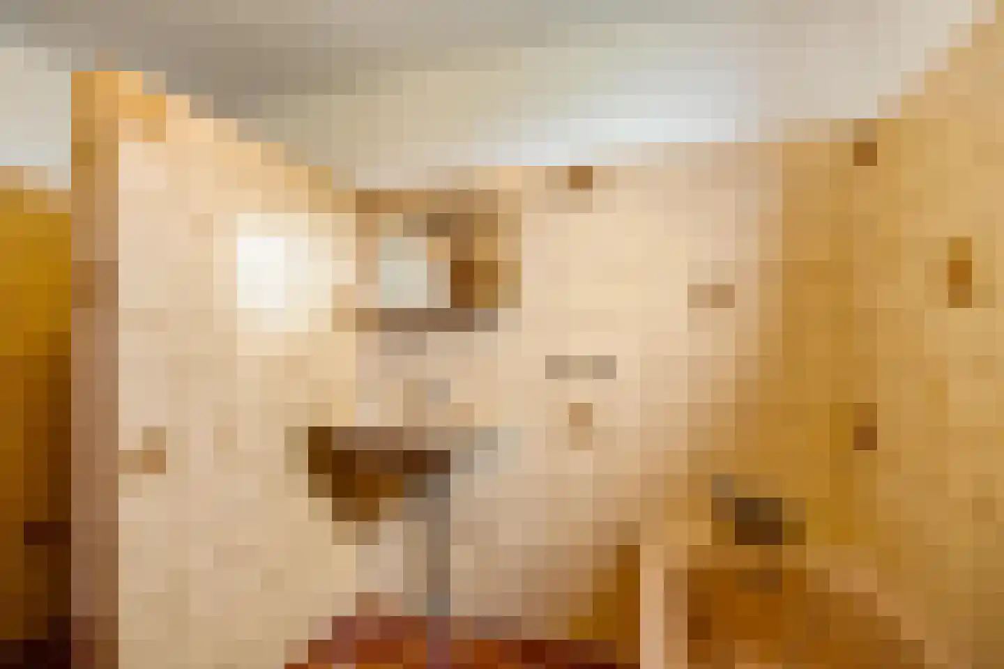 Lindenlaan 9 Bellingwolde thumbnail 12