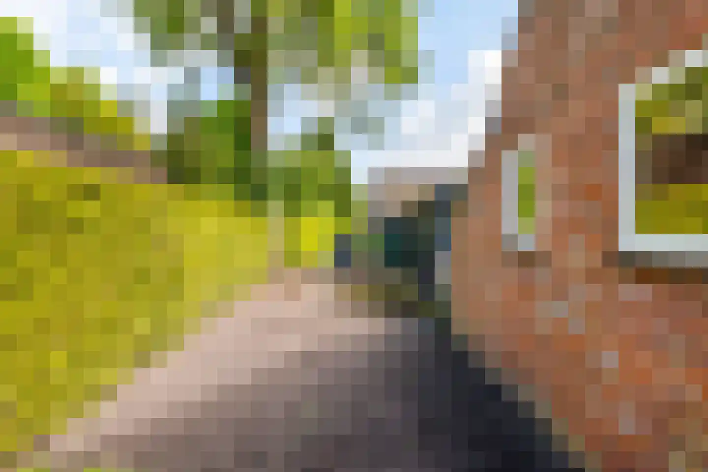 Lindenlaan 9 Bellingwolde thumbnail 27
