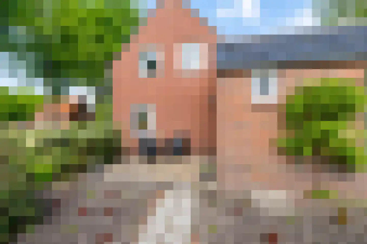 Lindenlaan 9 Bellingwolde thumbnail 28