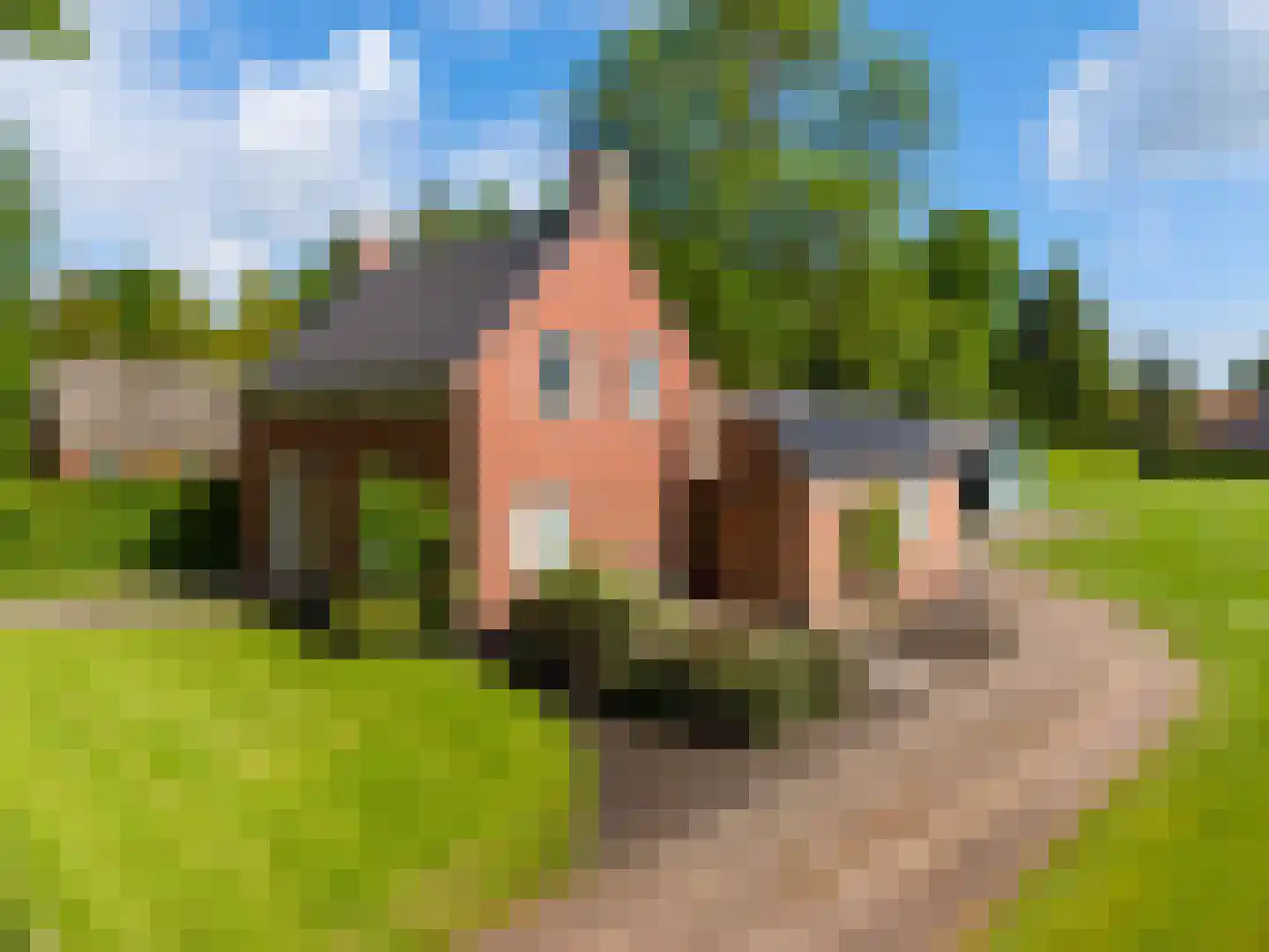 Lindenlaan 9 Bellingwolde thumbnail 30
