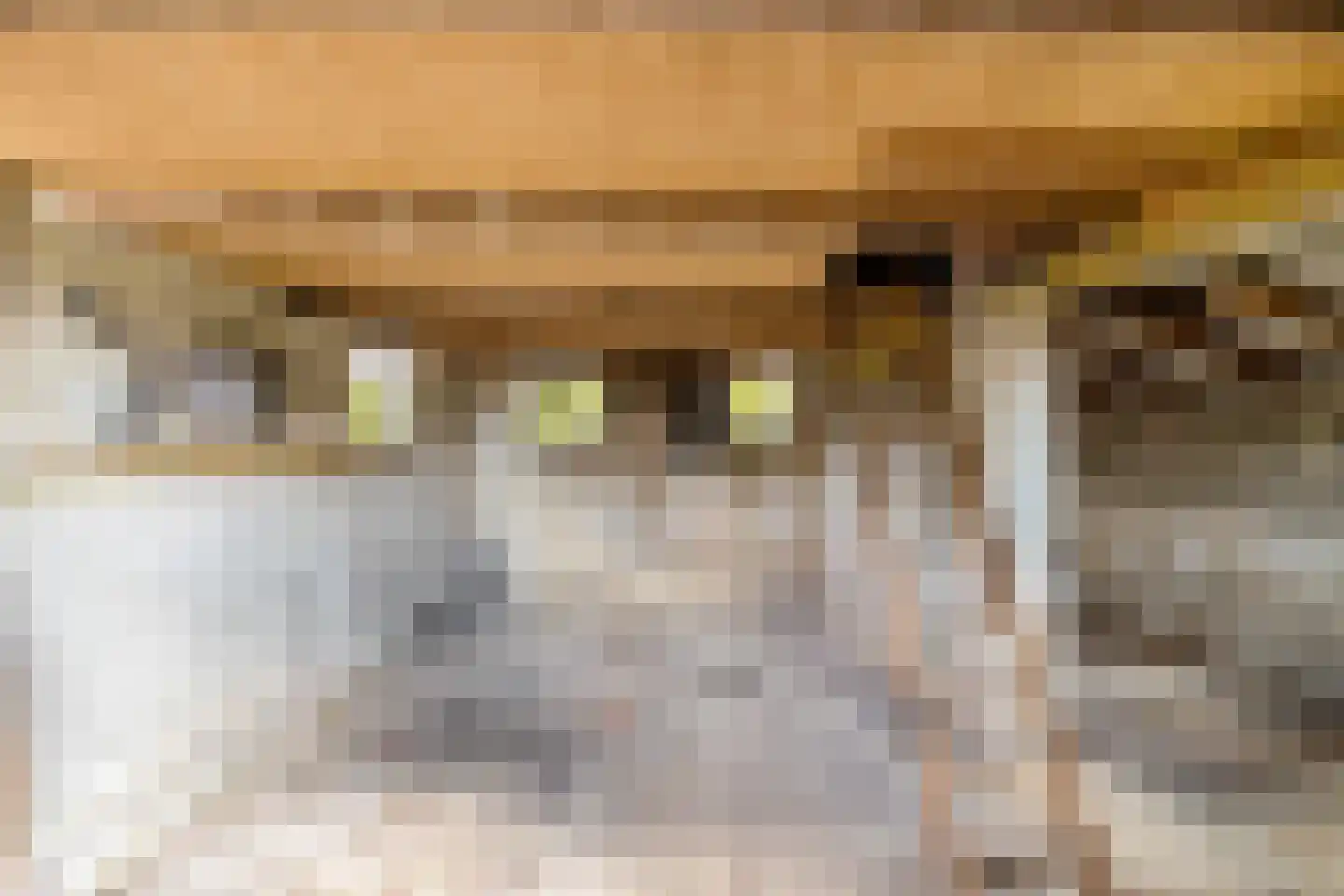 Lindenlaan 9 Bellingwolde thumbnail 32