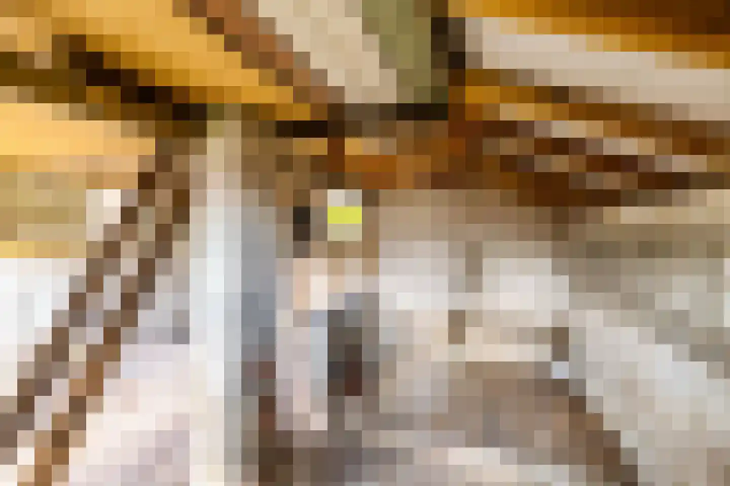 Lindenlaan 9 Bellingwolde thumbnail 33