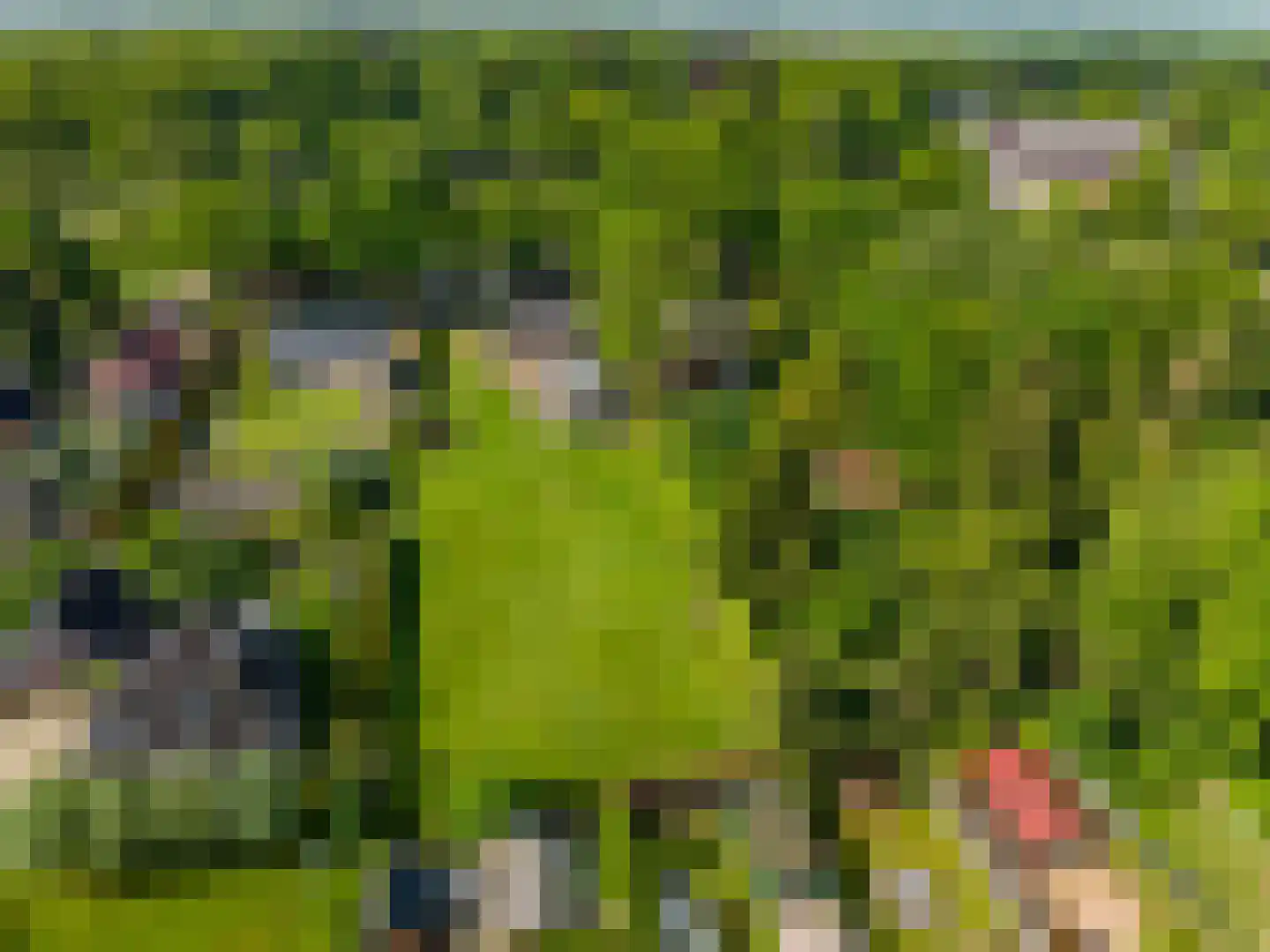 Lindenlaan 9 Bellingwolde thumbnail 35