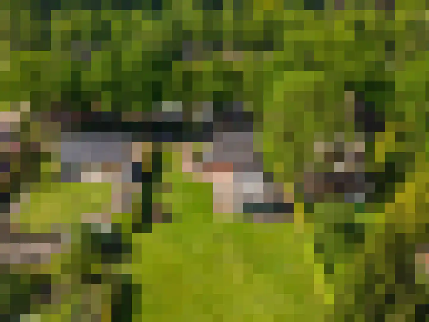Lindenlaan 9 Bellingwolde thumbnail 36