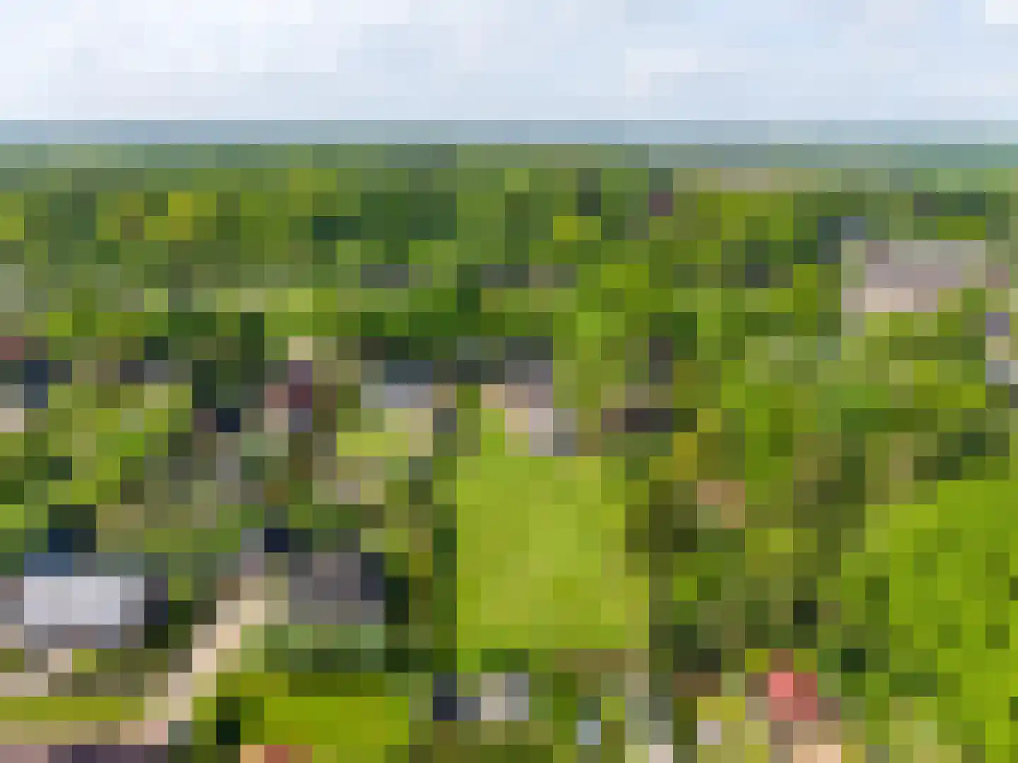 Lindenlaan 9 Bellingwolde thumbnail 37