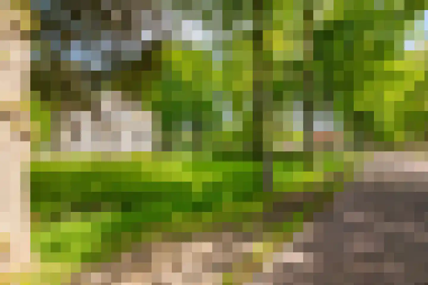 Lindenlaan 9 Bellingwolde thumbnail 40