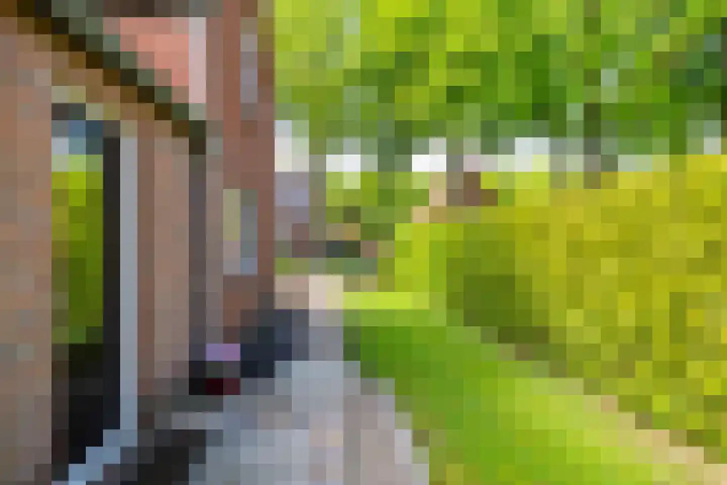 Lindenlaan 9 Bellingwolde thumbnail 6