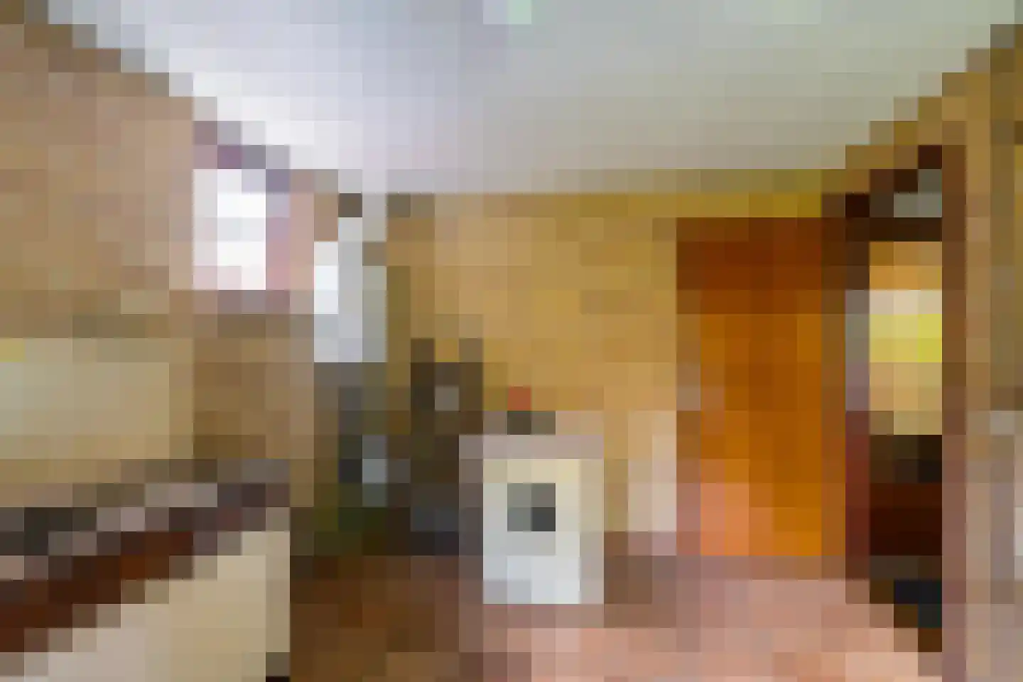 Lindenlaan 9 Bellingwolde thumbnail 7