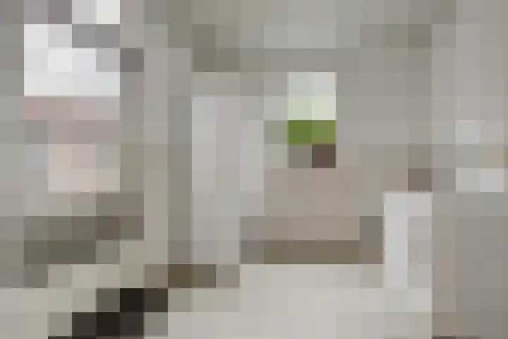 Lindenlaan 9 Bergen L thumbnail 13