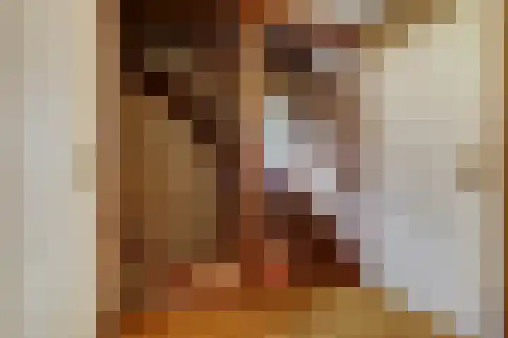 Lindenlaan 9 Bergen L thumbnail 14