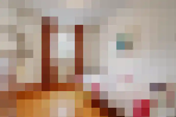 Lindenlaan 9 Bergen L thumbnail 16