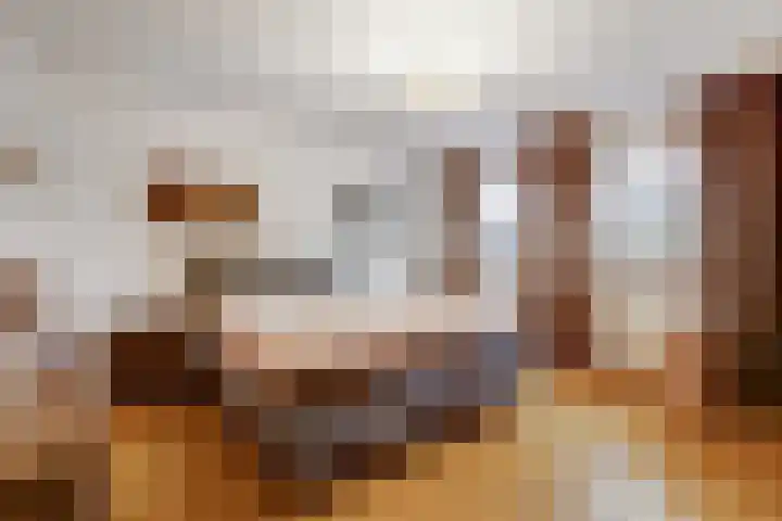 Lindenlaan 9 Bergen L thumbnail 17