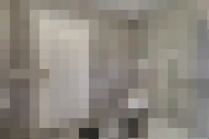 Lindenlaan 9 Bergen L thumbnail 19