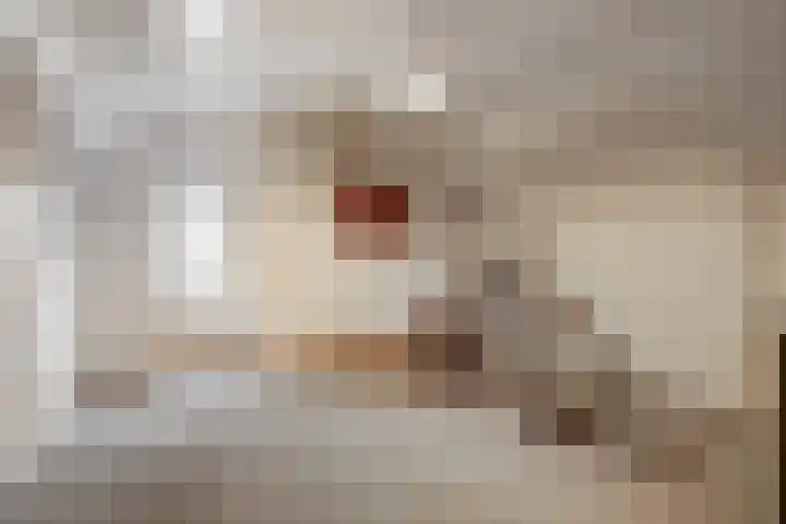 Lindenlaan 9 Bergen L thumbnail 21